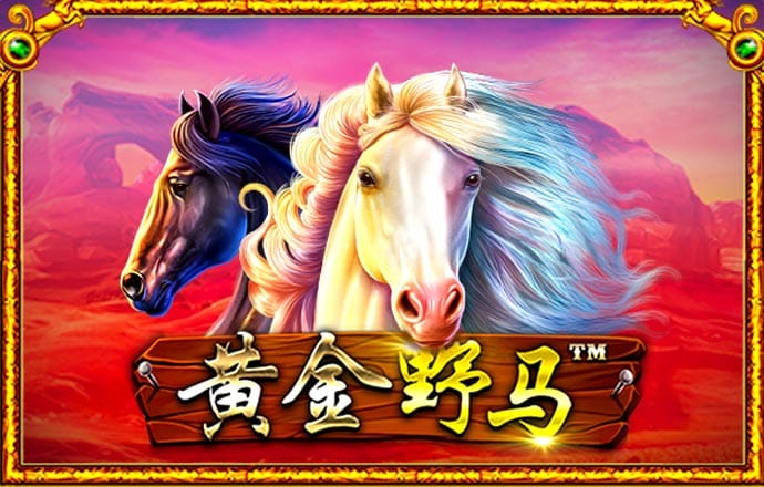 威尼斯登录入口welcome
